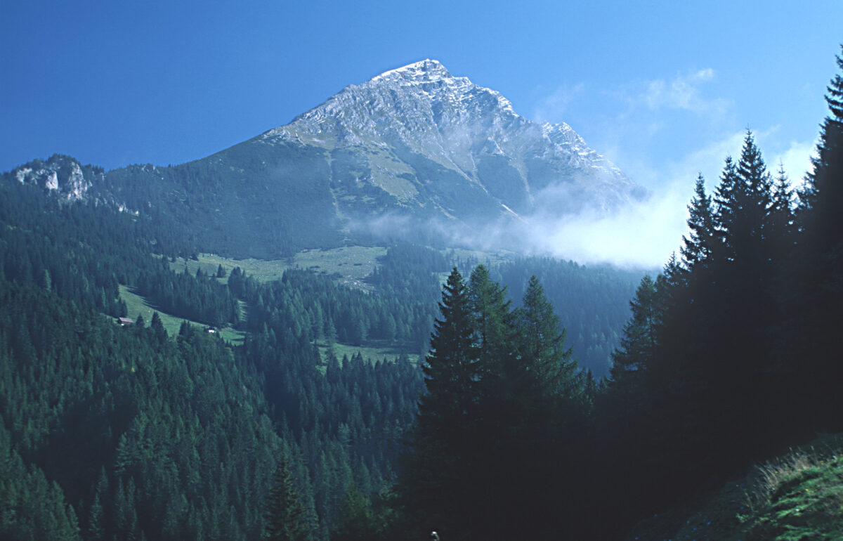 Wald im Vordergrund mit Blick auf den Großen Pyhrgas im Sonnenschein