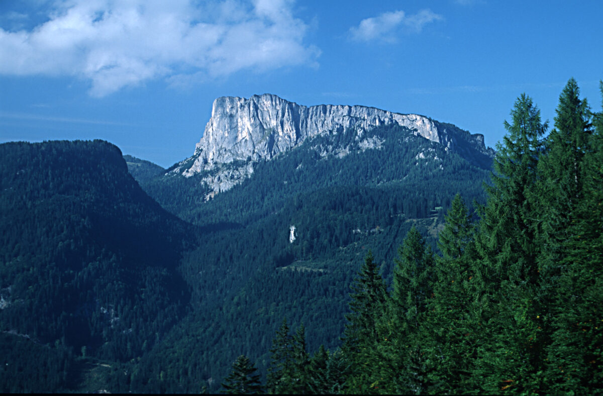 Im Vordergrund Wald, Blick auf den hohen Felsen des Bosruck Stubwieswipfel