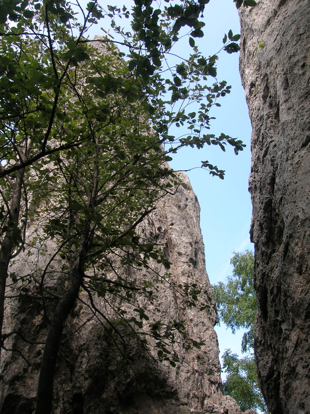 Blick von unten aus einer Schlucht zwischen die Rauwacke-Felsnadeln - die Sauzähne in Laussa