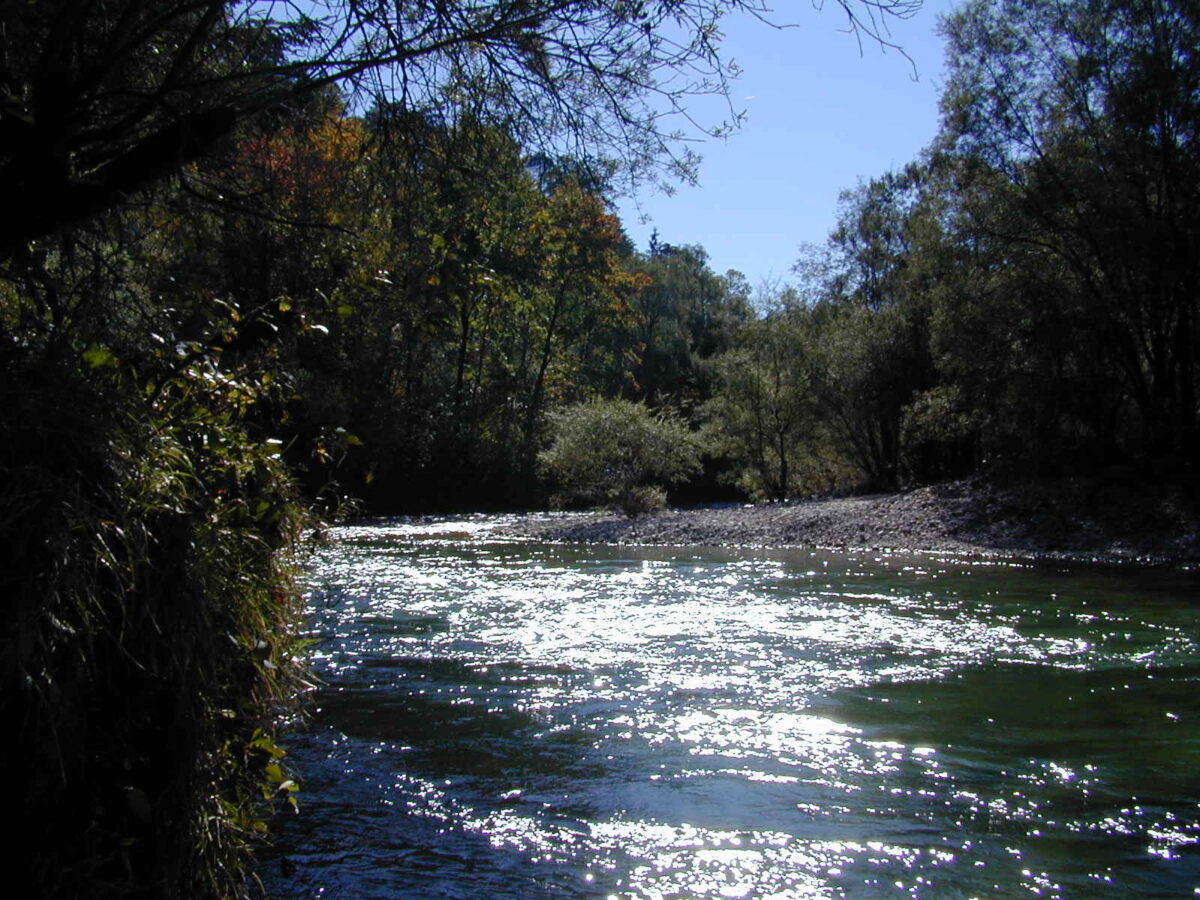 Spiegelungen der Sonne auf dem Wasserlauf der Rinnenden Mauer durch bewaldetes Gebiet