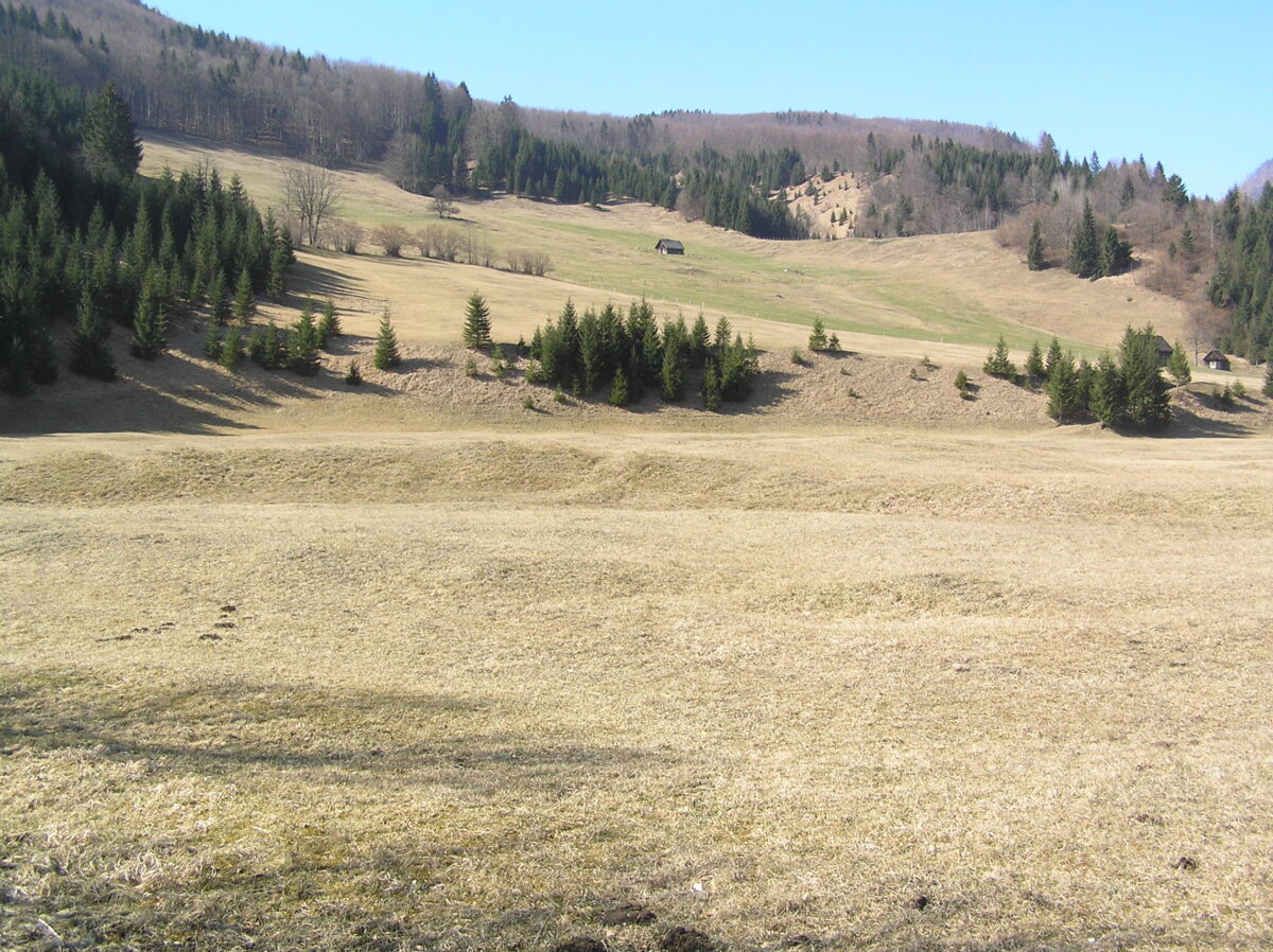 Hügelige Landschaft und große Wiesenfläche im Naturschutzgebiet Jaidhaus
