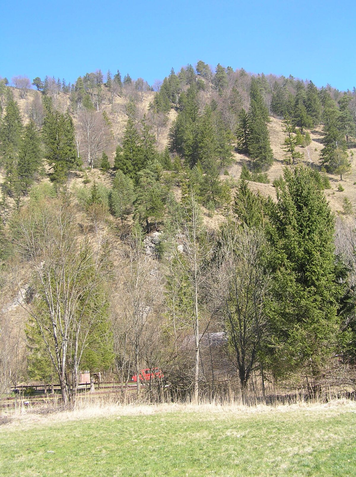 Blick auf bewaldeten Hüdel im Naturschutzgebiet Jaidhaus