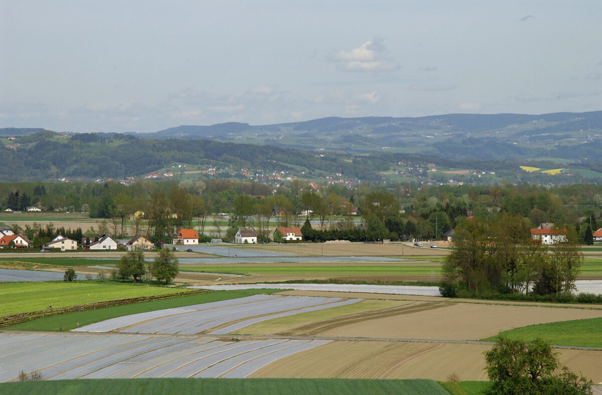 Felder im Eferdinger Becken, manche mit Folien abgedeckt für den Gemüseanbau