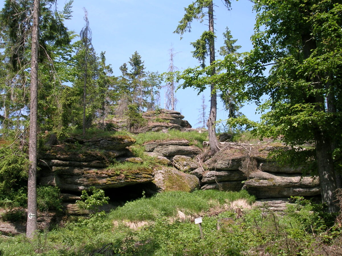 Blick von unten auf einen Berg mit großen Gesteinsbrocken, eine sogenannte Wollsackformation, mit vereinzelten Bäumen im Tanner-Moor, das größte Kiefernhochmoor Österreichs.