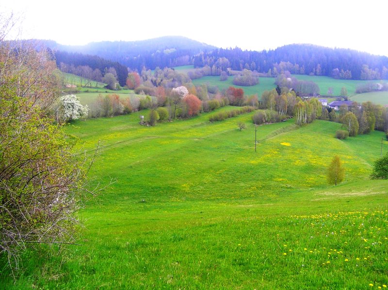 Stufenrainlandschaft