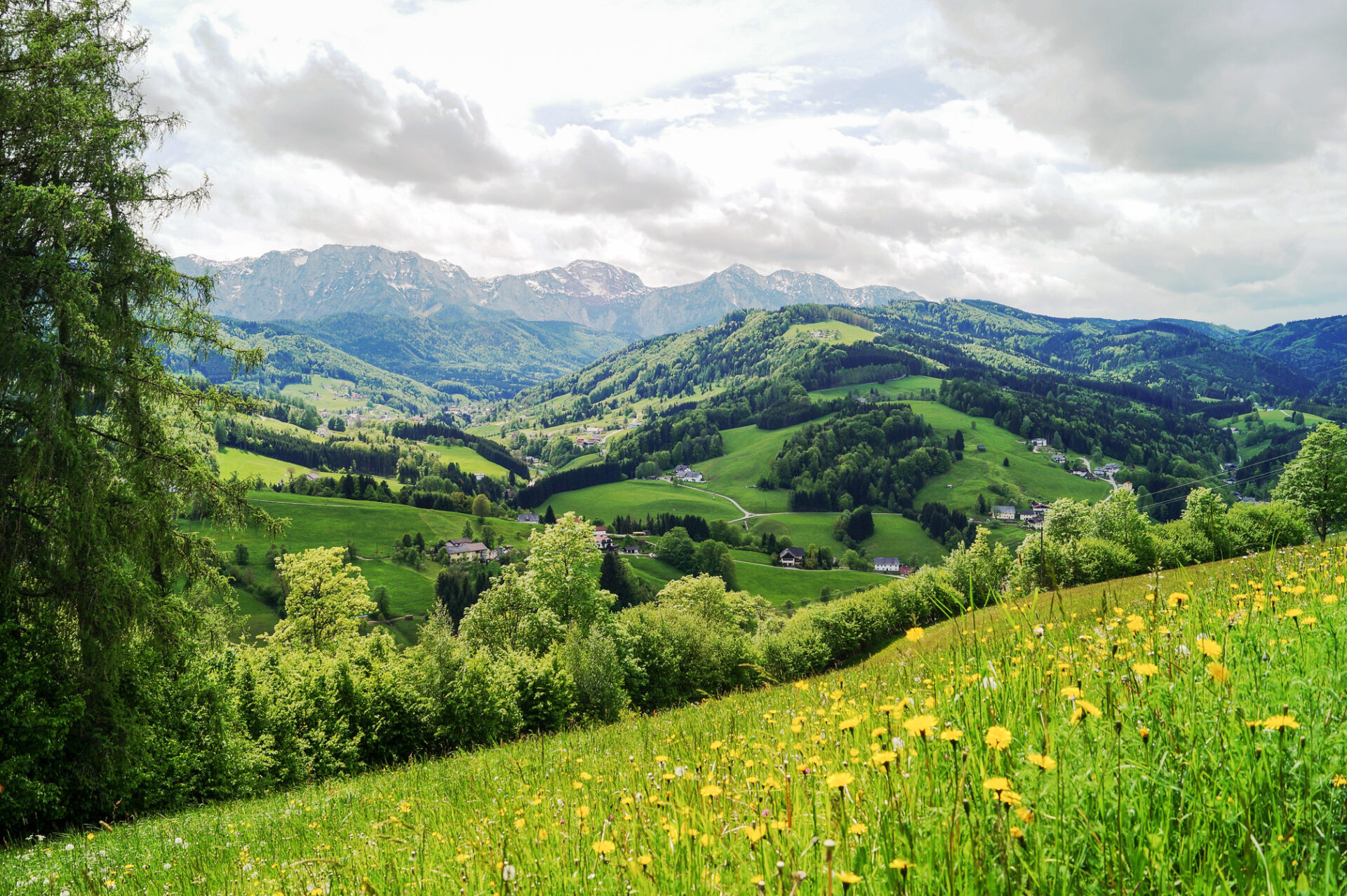 Naturpark Attersee Traunsee