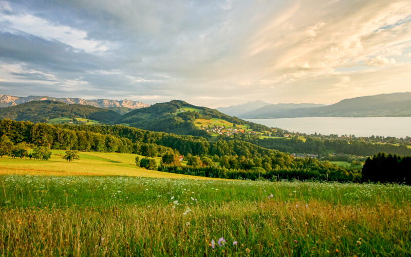 Schutzgebiet Mondsee - Attersee