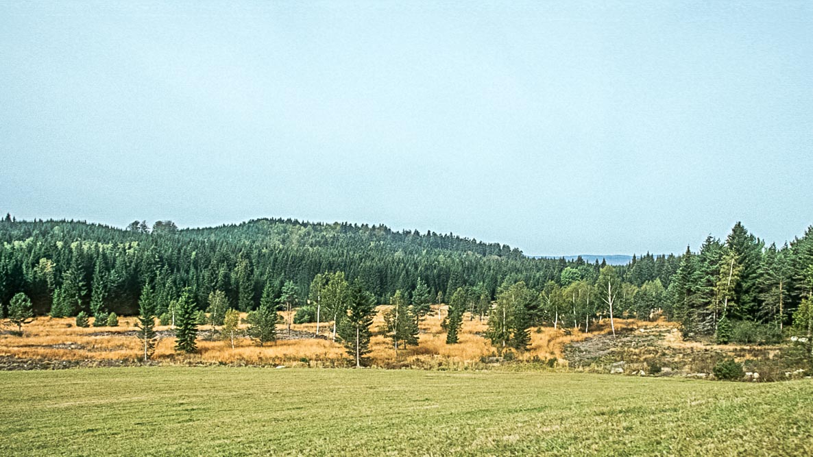 Wiesengebiete im Mühlviertel