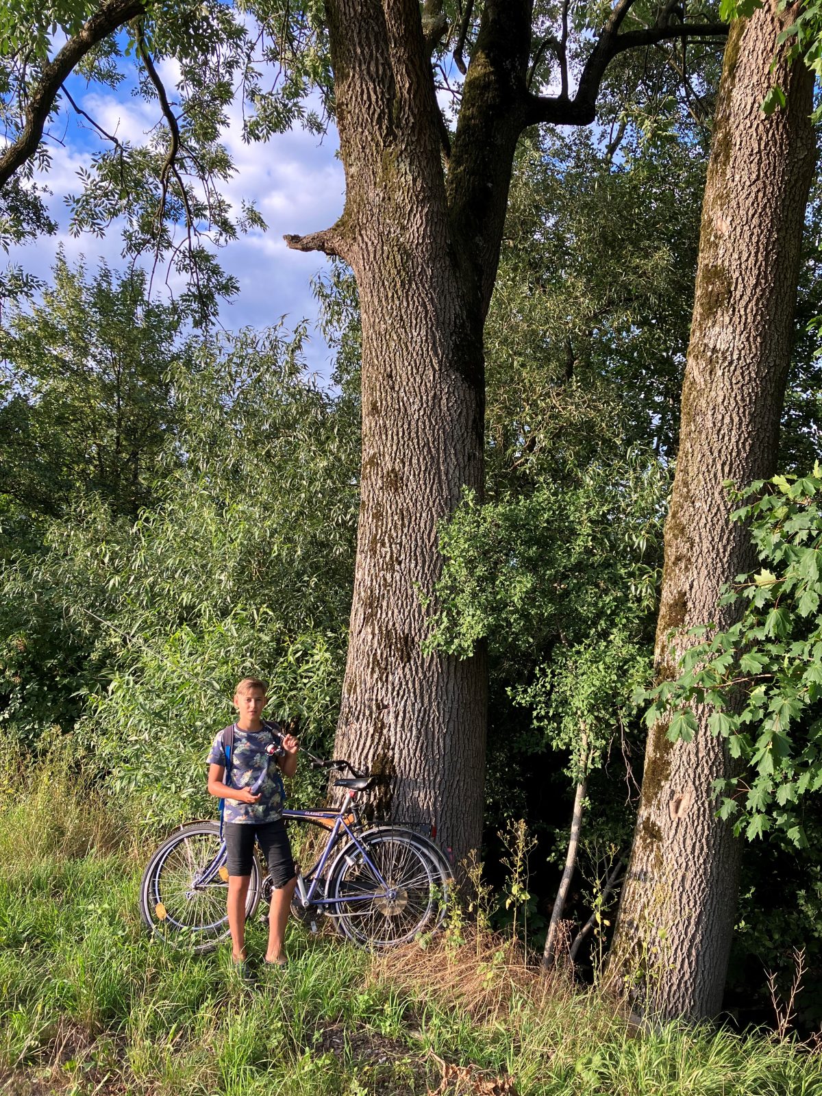 Eschen und Eichen entlang des Seisenegger Baches